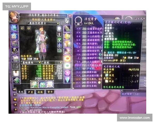 魔兽世界80级奶骑:装备属性提升攻略 魔兽世界80级奶骑:装备属性提升攻略